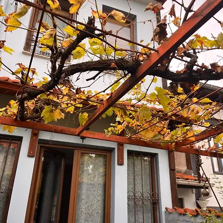 度假居 Κυανον Παραδοσιακή Μονοκατοικία Στην Φλώρινα 弗洛里纳